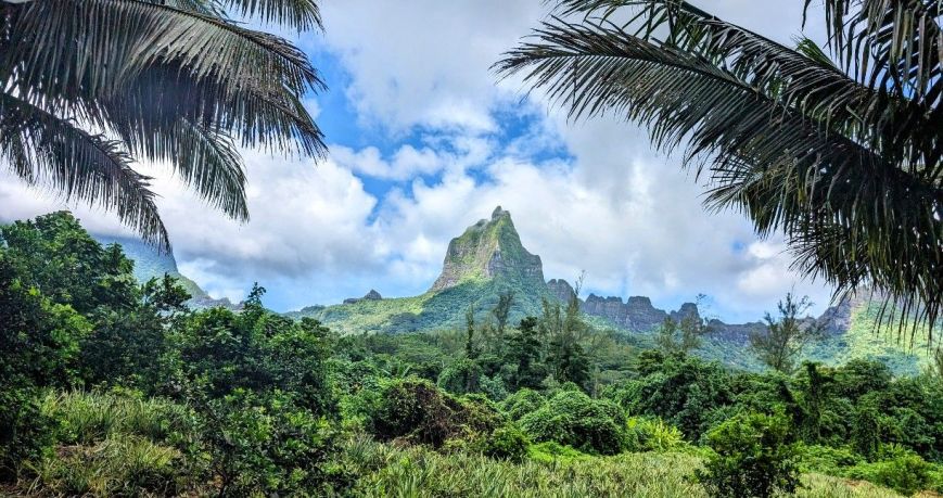 Why Hollywood is in Love with Moorea and Tahiti